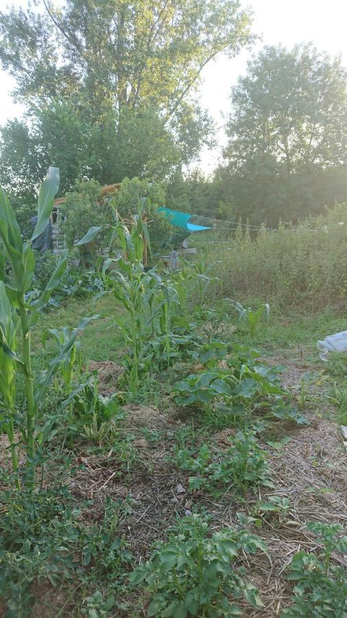 Tente En Permaculture Pirate Creysse  外观 照片